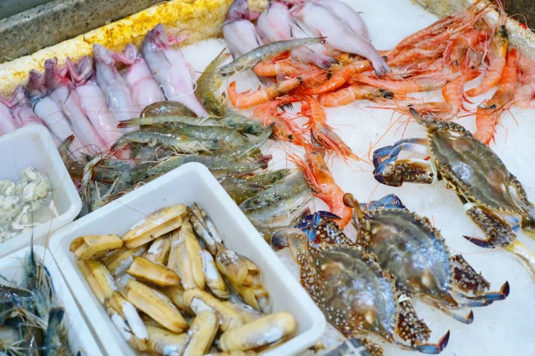 真吃不下了,这个靠海吃海的小县城怎么就能这么好吃