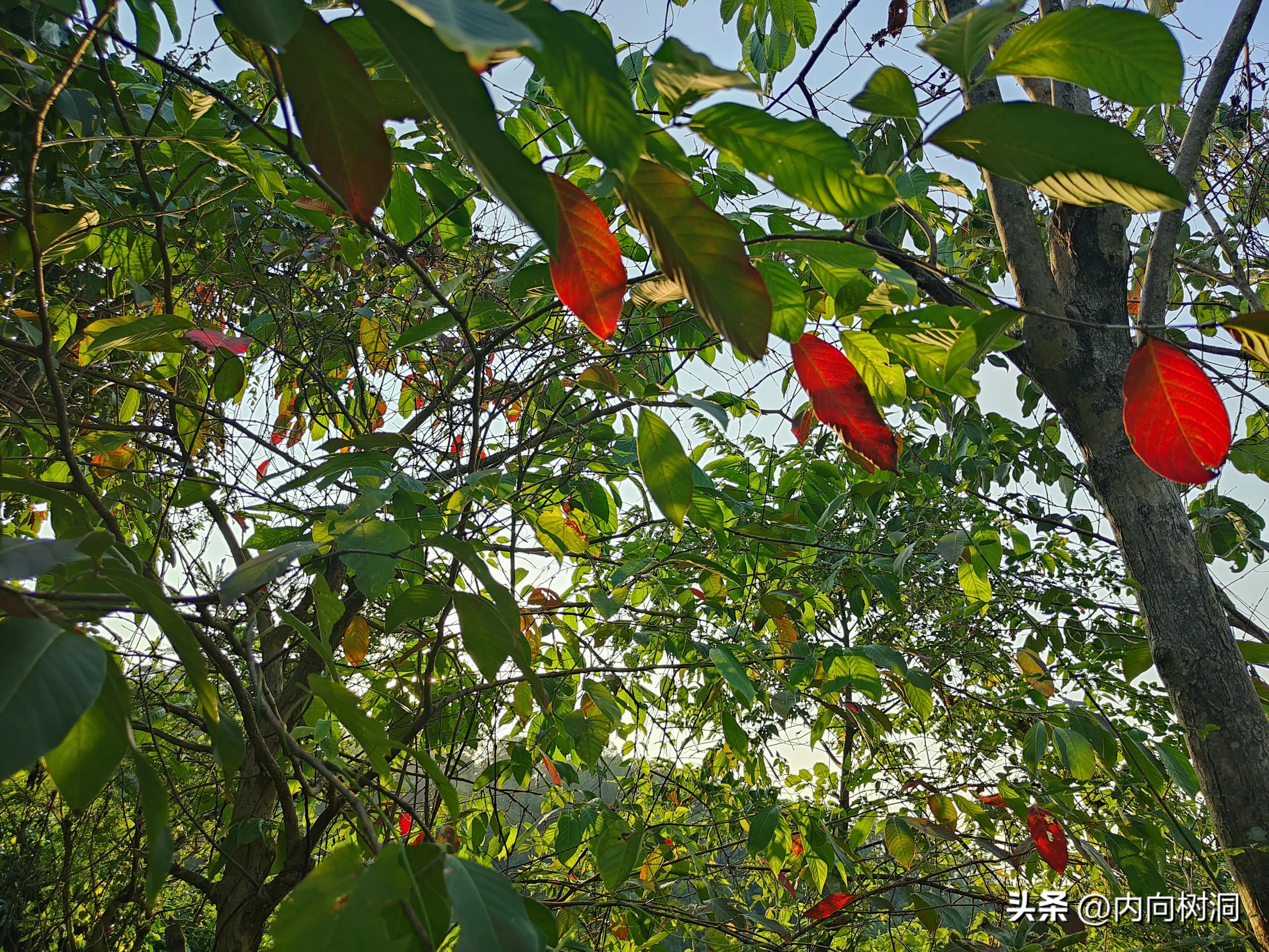 淘金山求水山徒步线路,求水山淘金山绿道在哪里