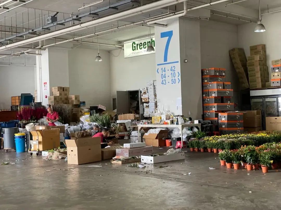 鲜花在水里能养几天会死,新加坡盆栽花卉怎么养