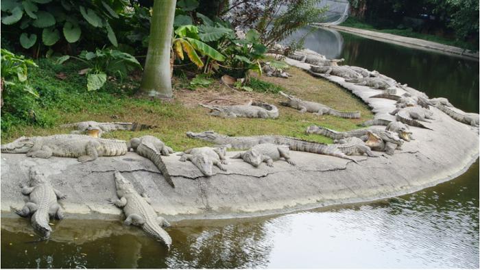 广州到云南自驾游攻略,广州自驾游去新疆攻略