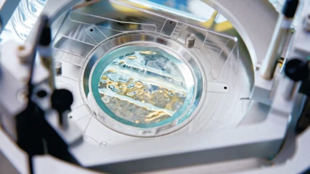 今年asml对中国销售光刻机有多少 (asml今年出售中国多少光刻机)