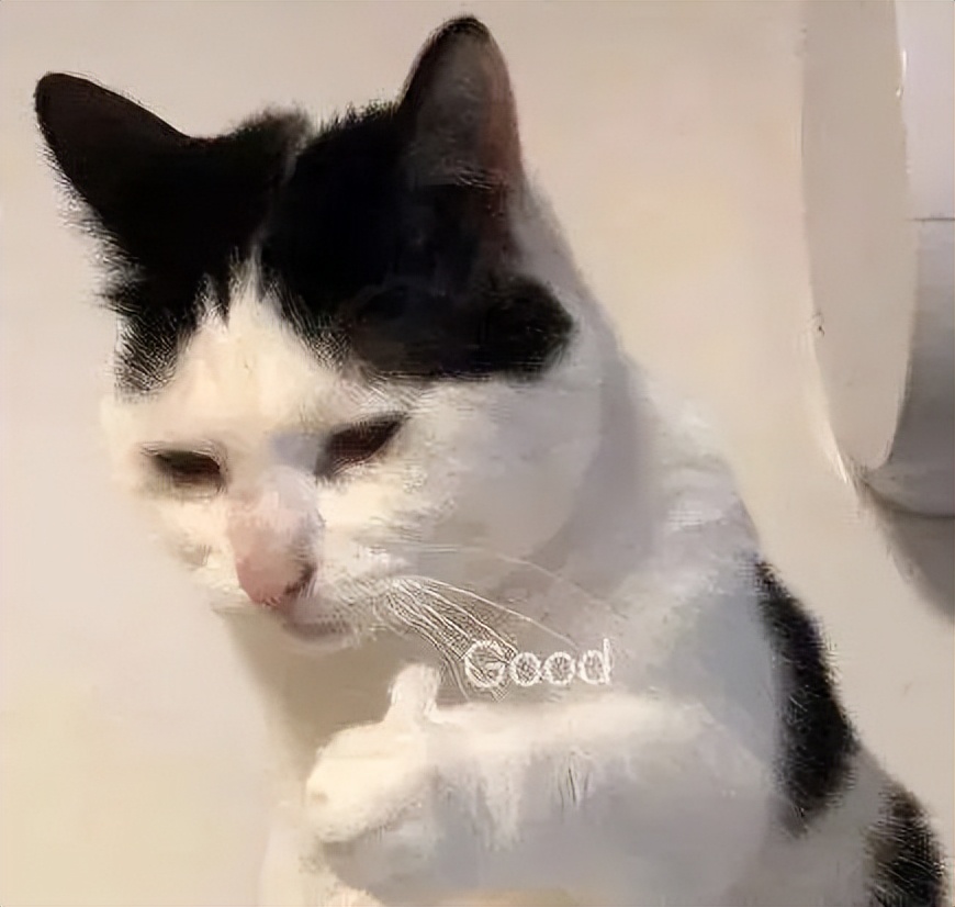 羽生结弦为什么退役又回归,羽生结弦退役的真正原因