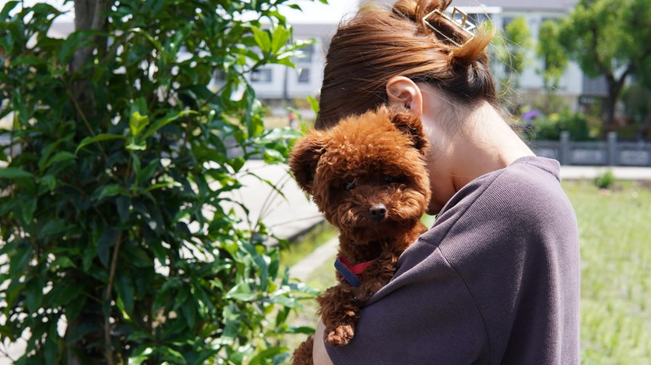 宠咕咕智能宠物饮水机,宠咕咕喂食器测评