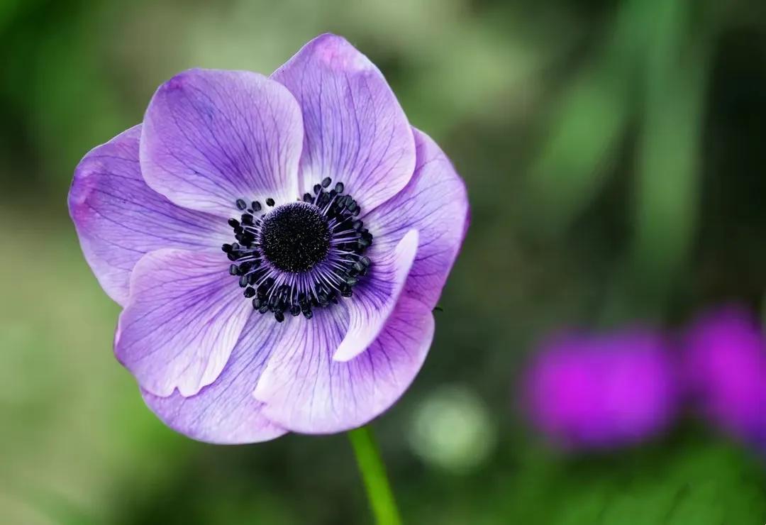 父母全款买房由孩子装修,全款买了房又装修了后悔了