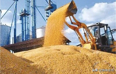 粮食安全事件,关于粮食安全的事件