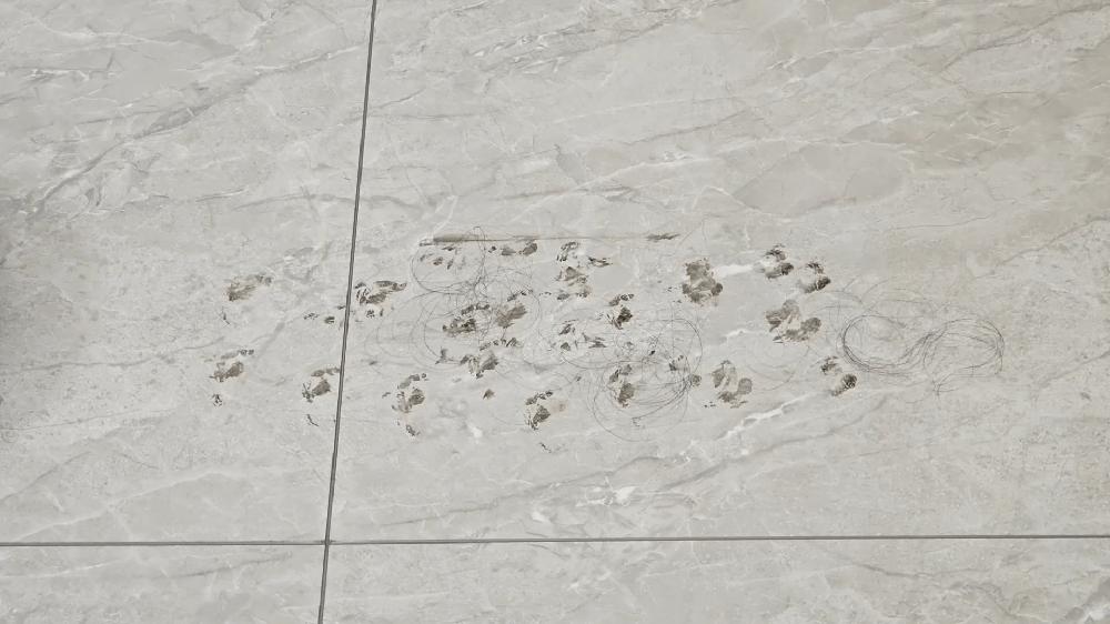 旗舰扫地机器人大PK：石头G20、科沃斯T20、追觅S20谁才是你的菜