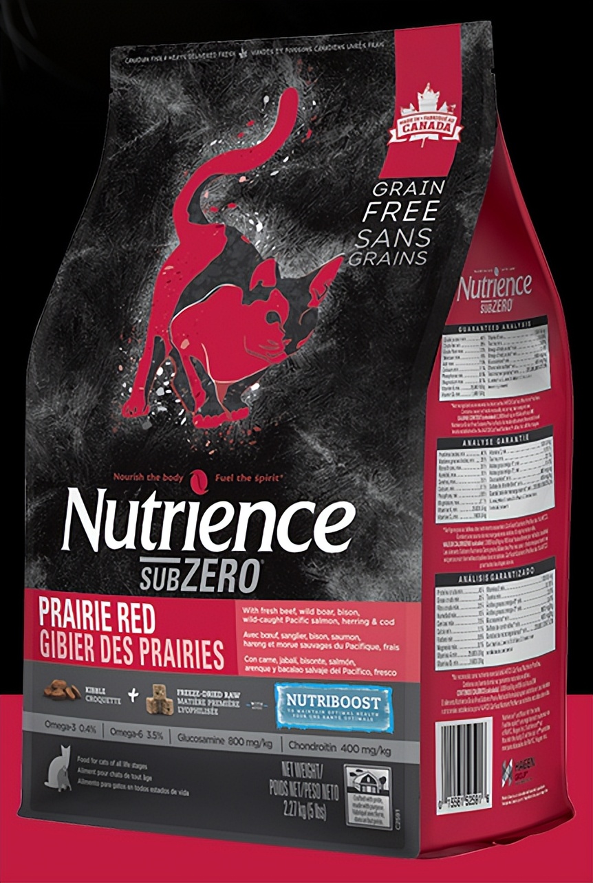 英短蓝猫吃哪个牌子猫粮适合,银渐层吃什么牌子的猫粮合适