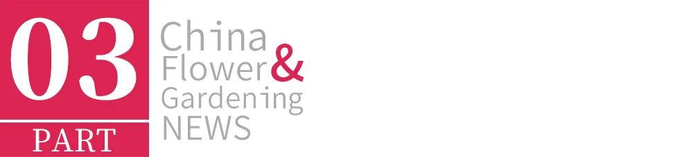 鄢陵模式,2023年鄢陵的发展