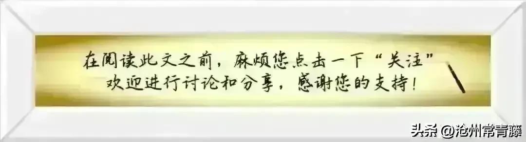 优秀数学教师风采展示,优秀数学教师风采