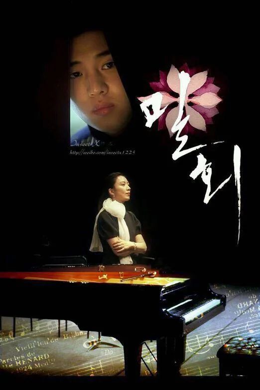 《密会》：如果没有遇到你，我将会在哪里？