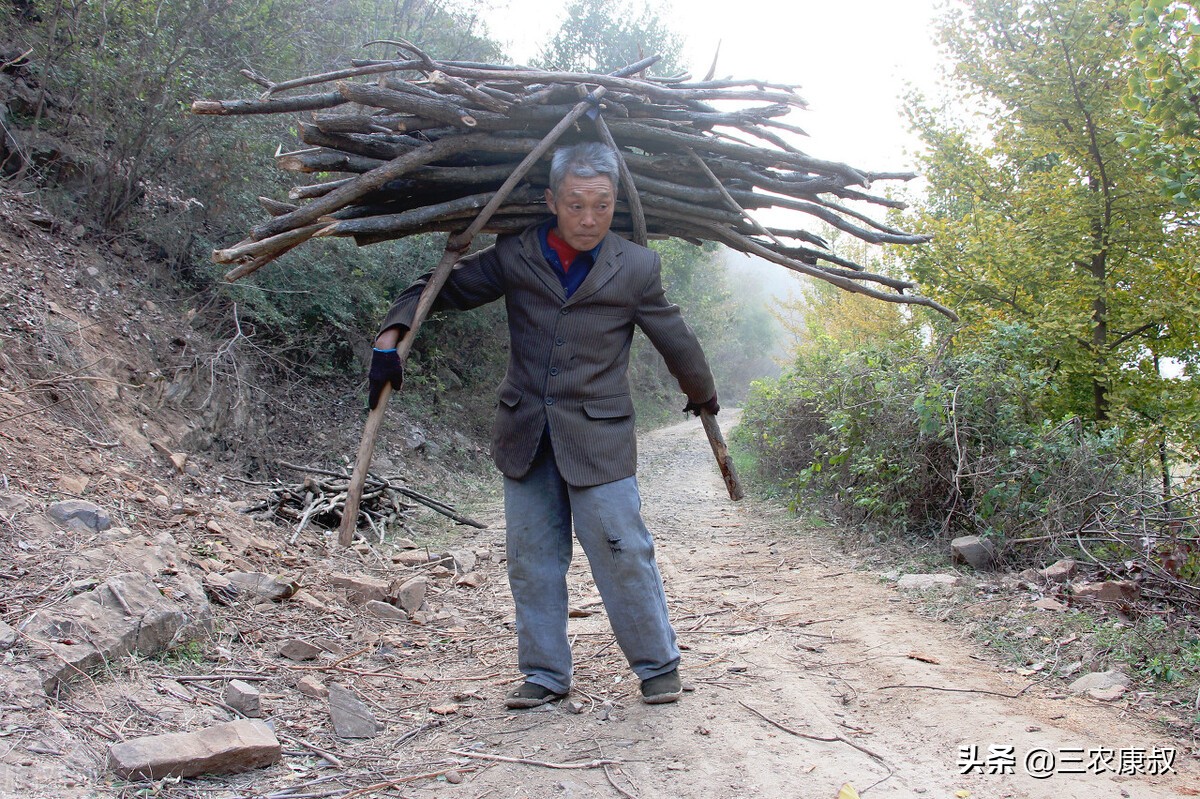 国家政策允许烧柴火煮饭吗,农村禁止烧柴煮饭是真的吗
