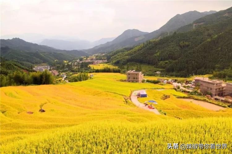 惠州市海岸线,惠州的海岸线