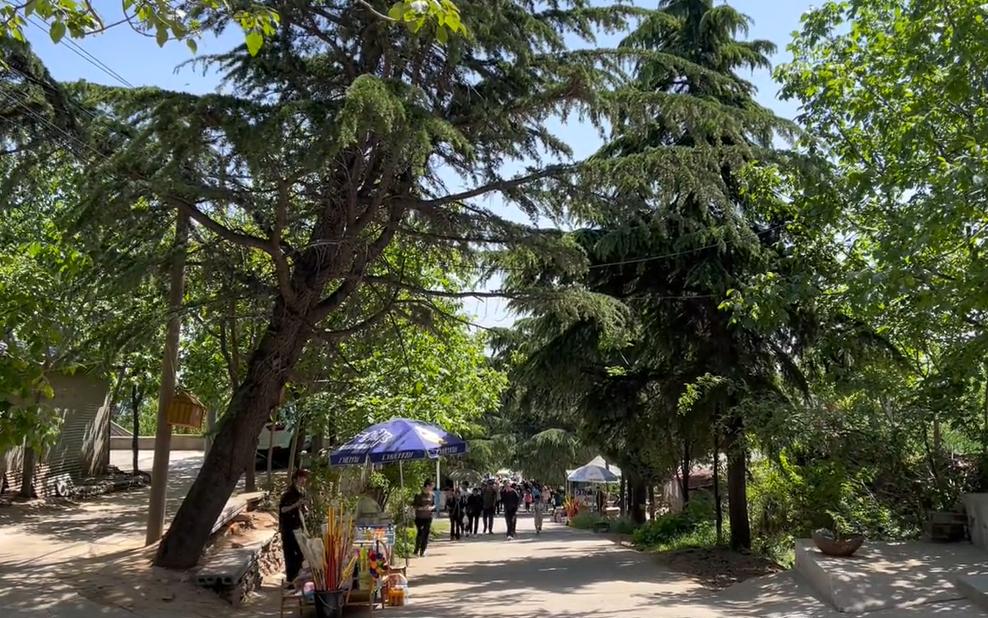 郑州出发十一冷门自驾游,郑州亲子游十大必去景点免费的