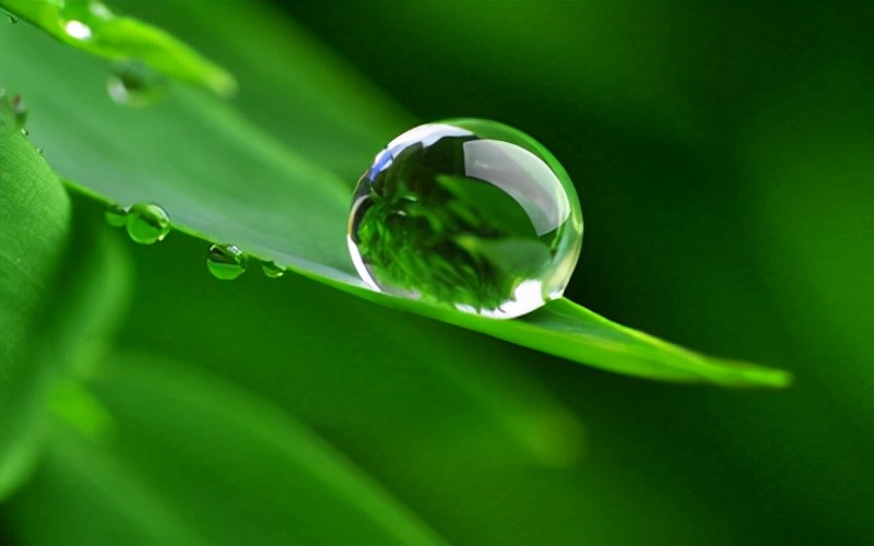 成年人的情绪实在莫名其妙,成年人的情绪总是见不得人