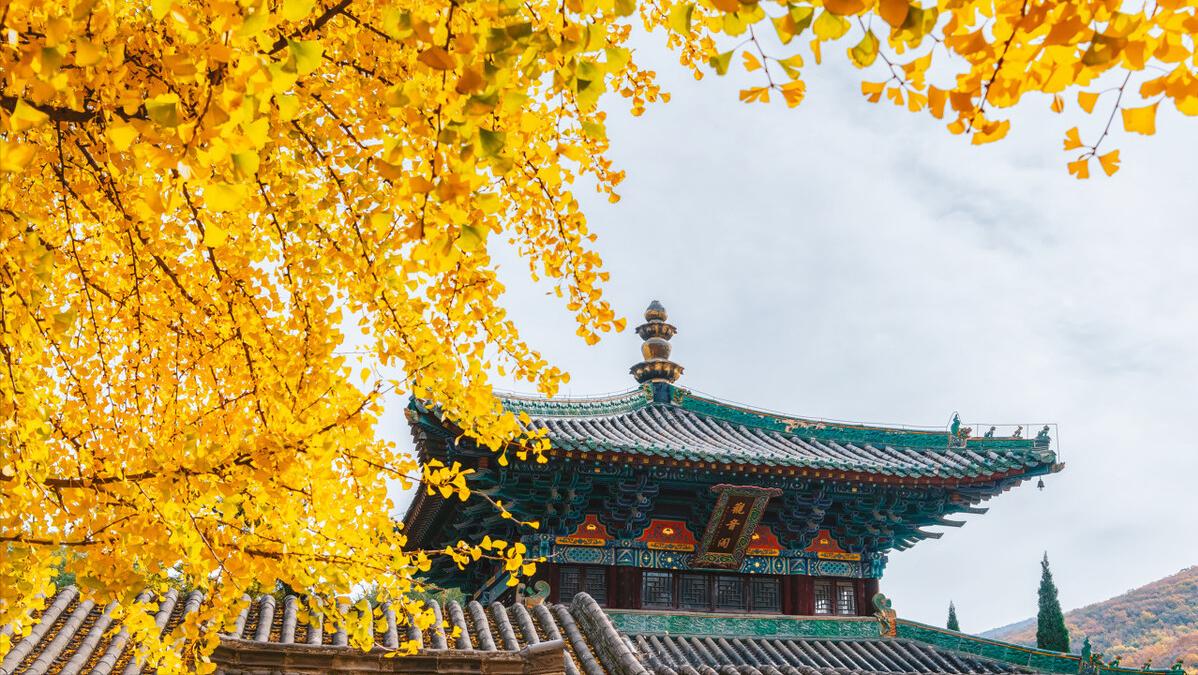 甲减，总是乏力怕冷？一张经典方，疏肝健脾益气，唤醒身体活力