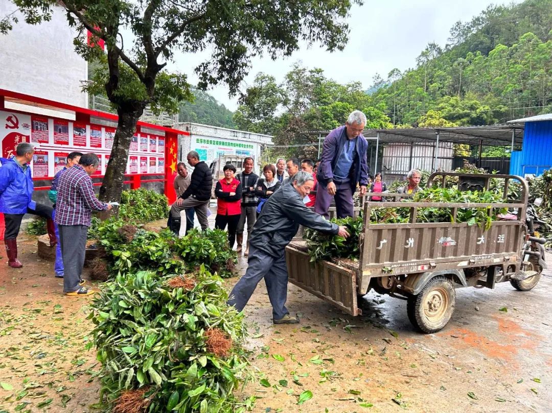 鑳介噺鍛ㄥ垔,鍏虫敞浜戞诞鏂伴椈