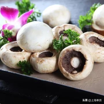 孕妈健康食谱,孕妈应该怎么饮食对宝宝好