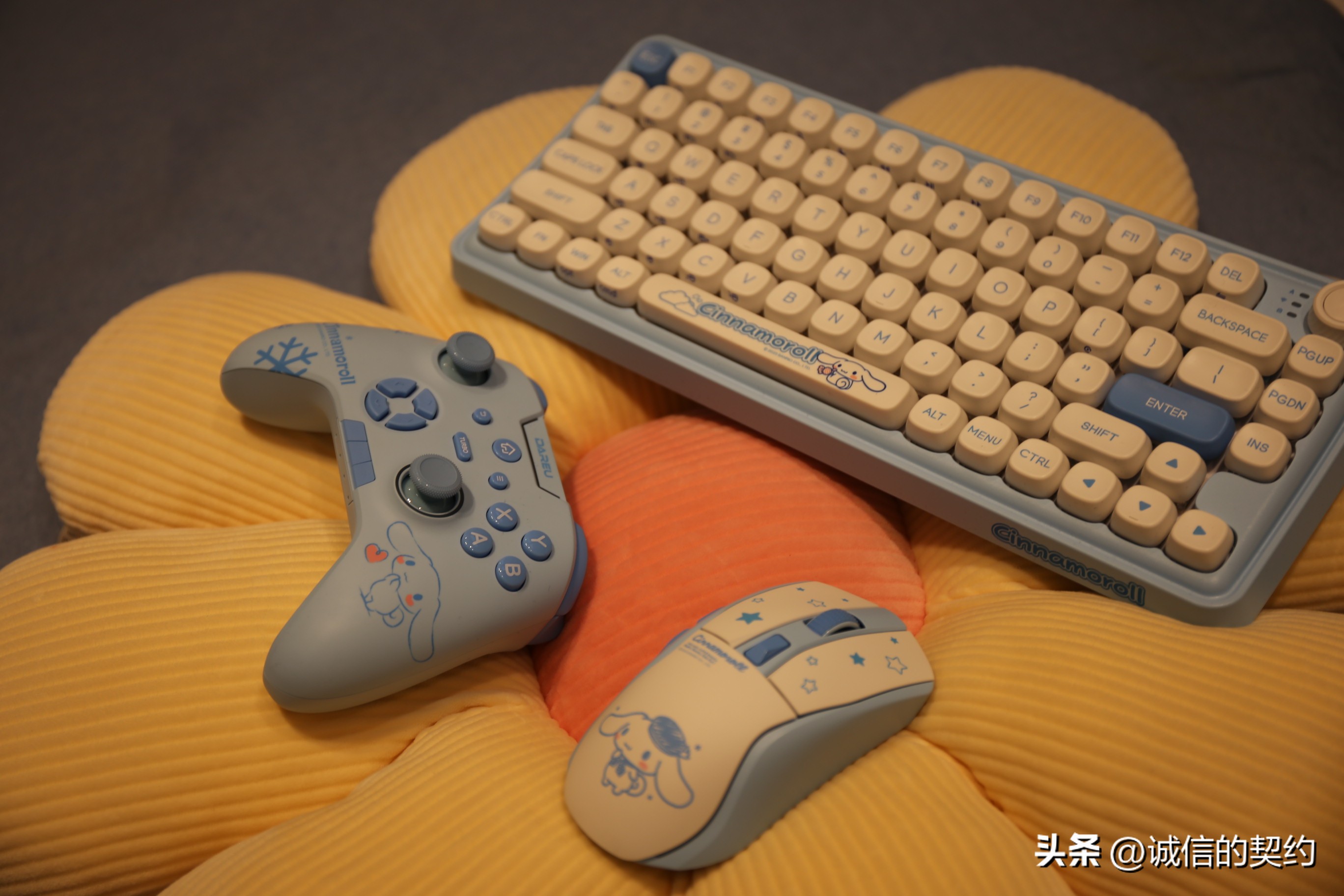 达尔优玉桂狗怎么样,达尔优玉桂狗键盘灯光怎么调节