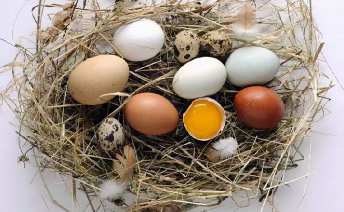 孕期吃哪些食物不胀气,孕期吃什么食物最好最营养