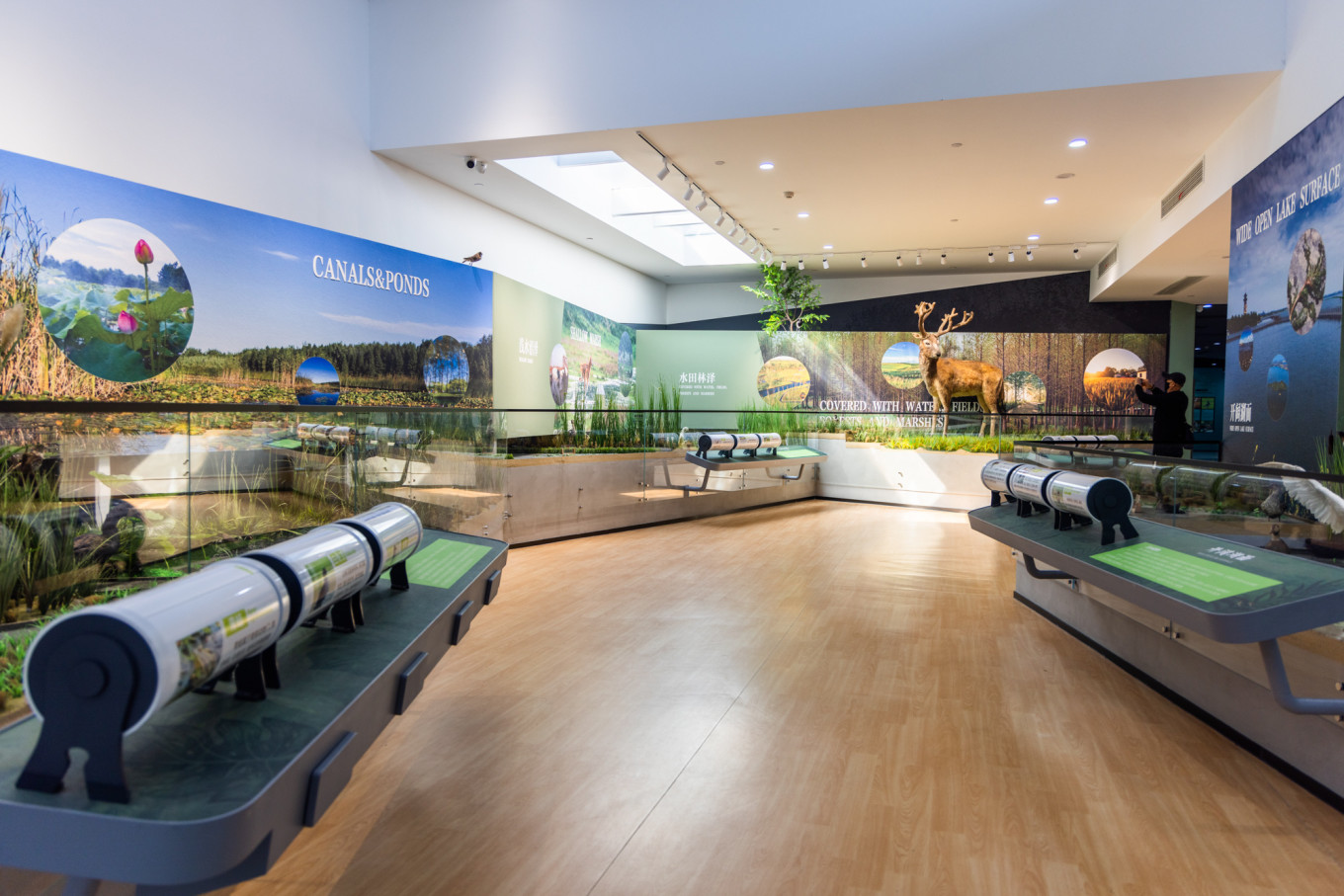 春日下江南杭州,春日下江南古镇