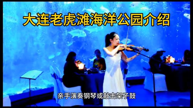 大连老虎滩海洋公园极地馆,大连老虎滩海洋公园老年票