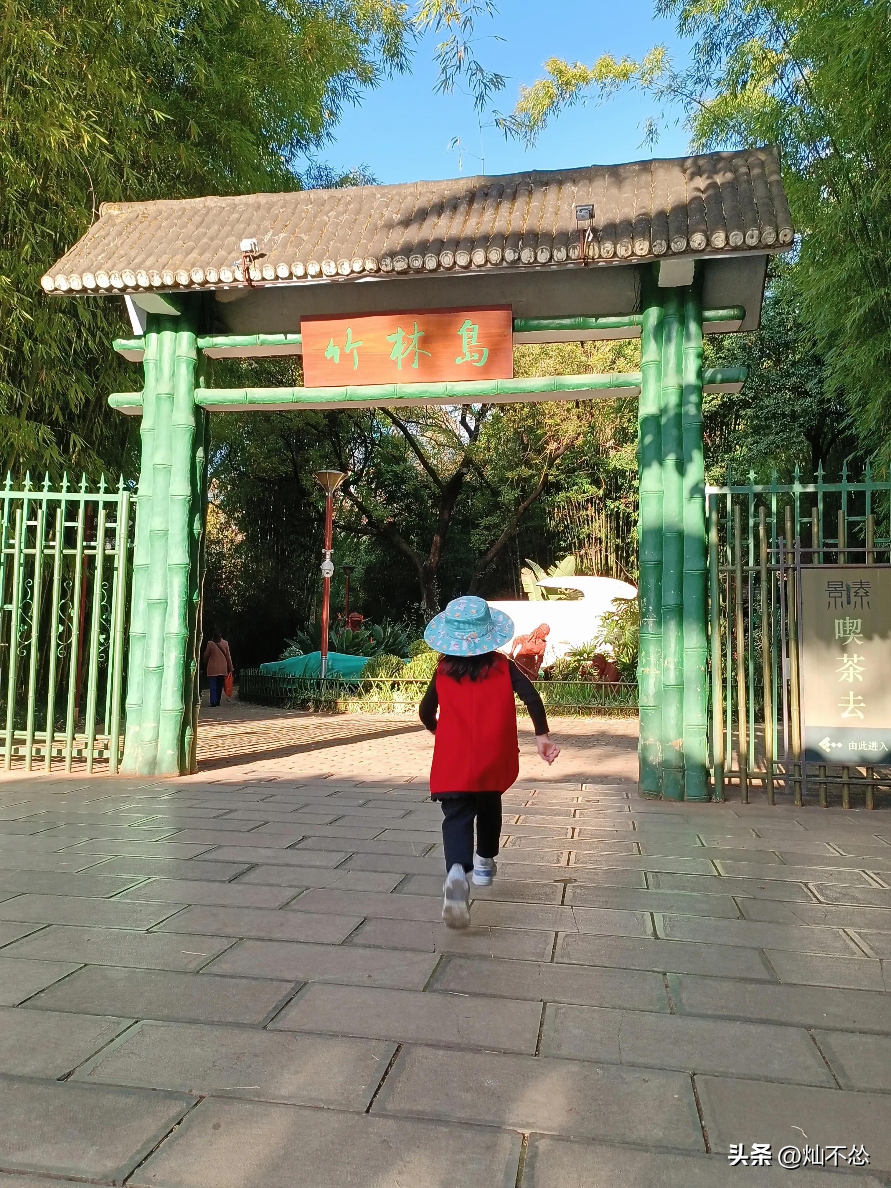 昆明翠湖什么时候去好看,昆明翠湖值得游玩吗