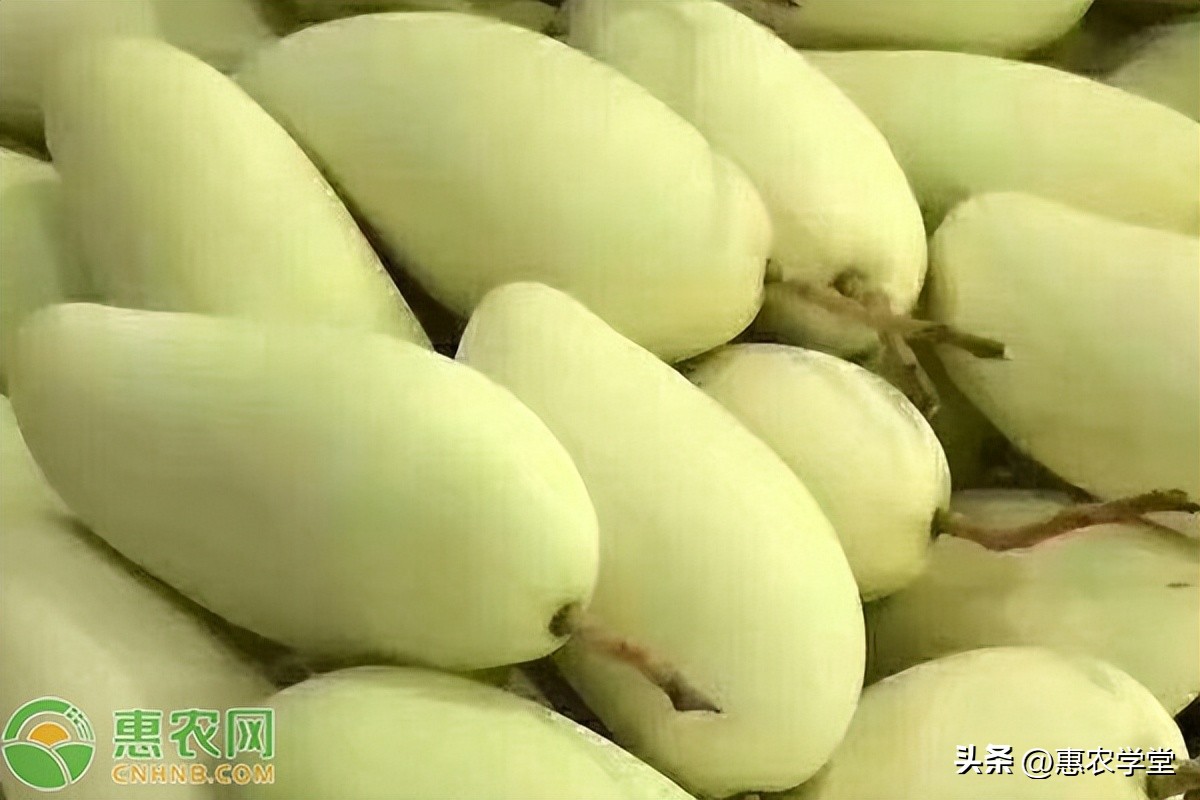 芒果怎么催熟最快方法最好,芒果怎么催熟最简单的方法