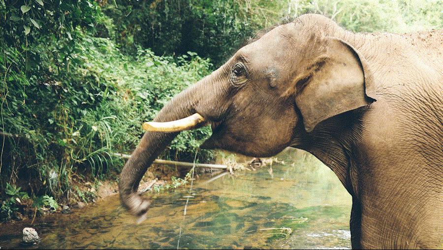 cop15大会高清图,cop15第二阶段会议有哪些人出席