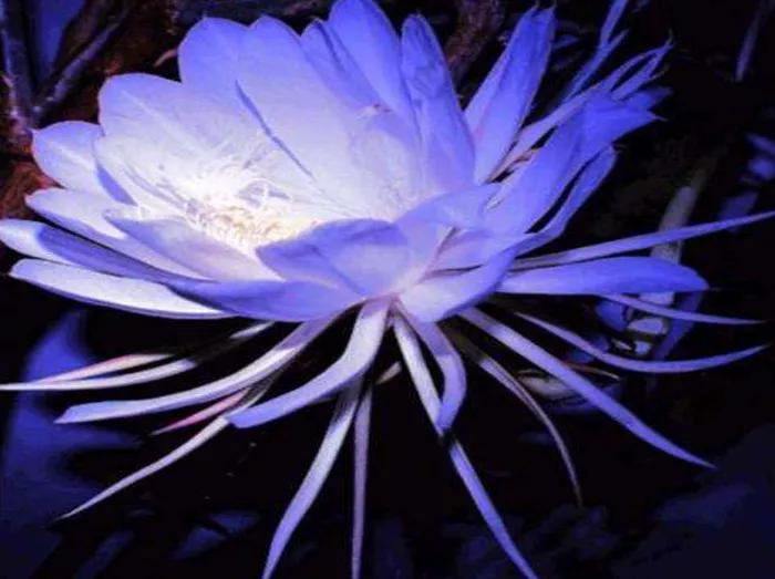 为人处世的20条铁律句句说到要害,为人处世的九大要诀