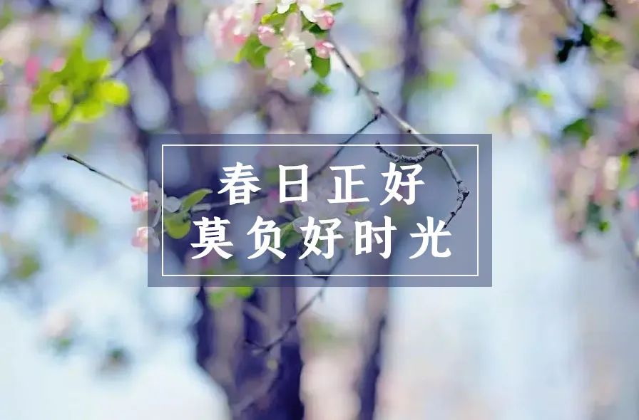 春日正好莫负春光,春日诗集大赏