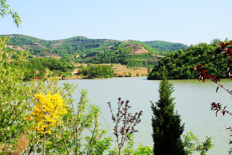 高原纪实文学,高原明珠纪录片