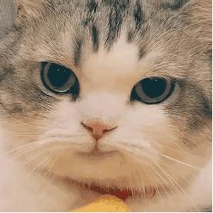 6位一大笑颜值就会崩塌的女明星,看起来笑的很魔性的女明星