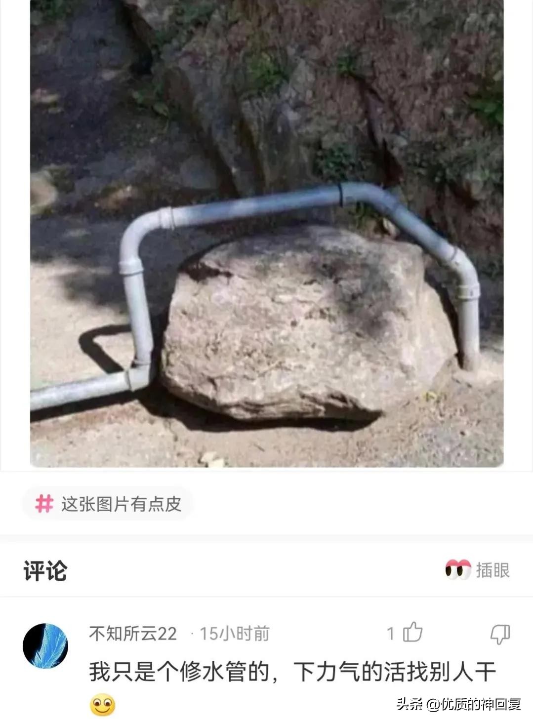 你知道衣服上的字什么意思吗,女生衣服上的字母含义