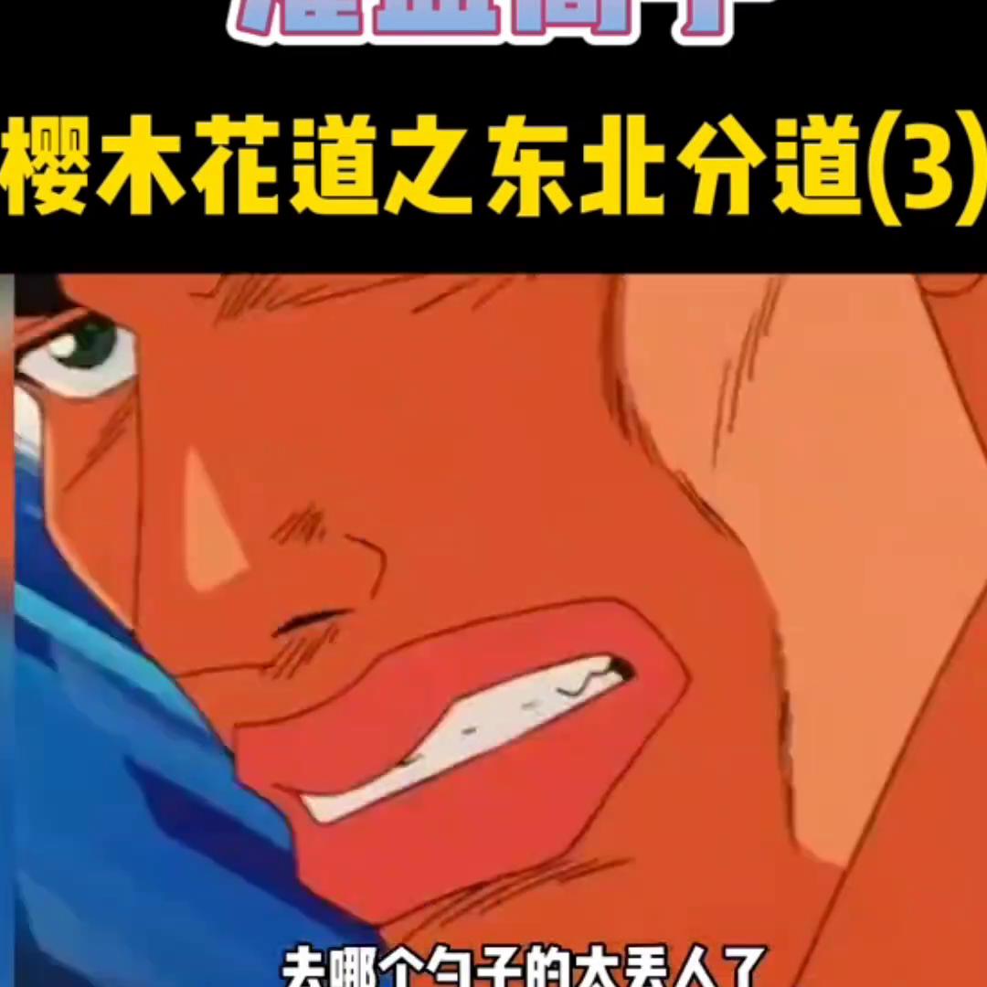 樱木花道灌篮高手国语全集,樱木花道615