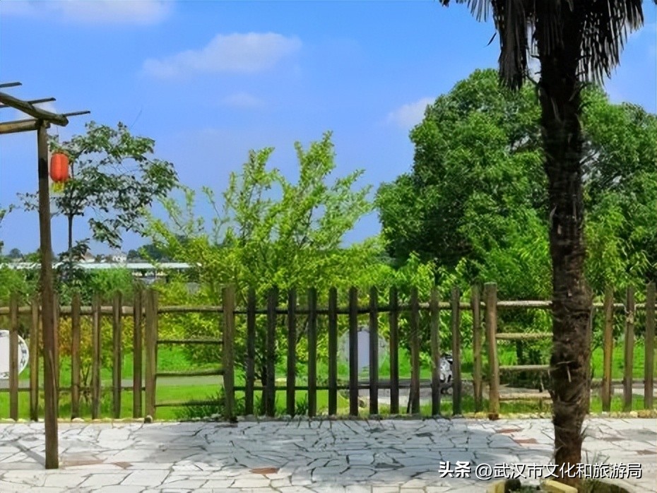 花朝河湾邀您来赏花,花朝河湾旅游景区本地人要门票吗