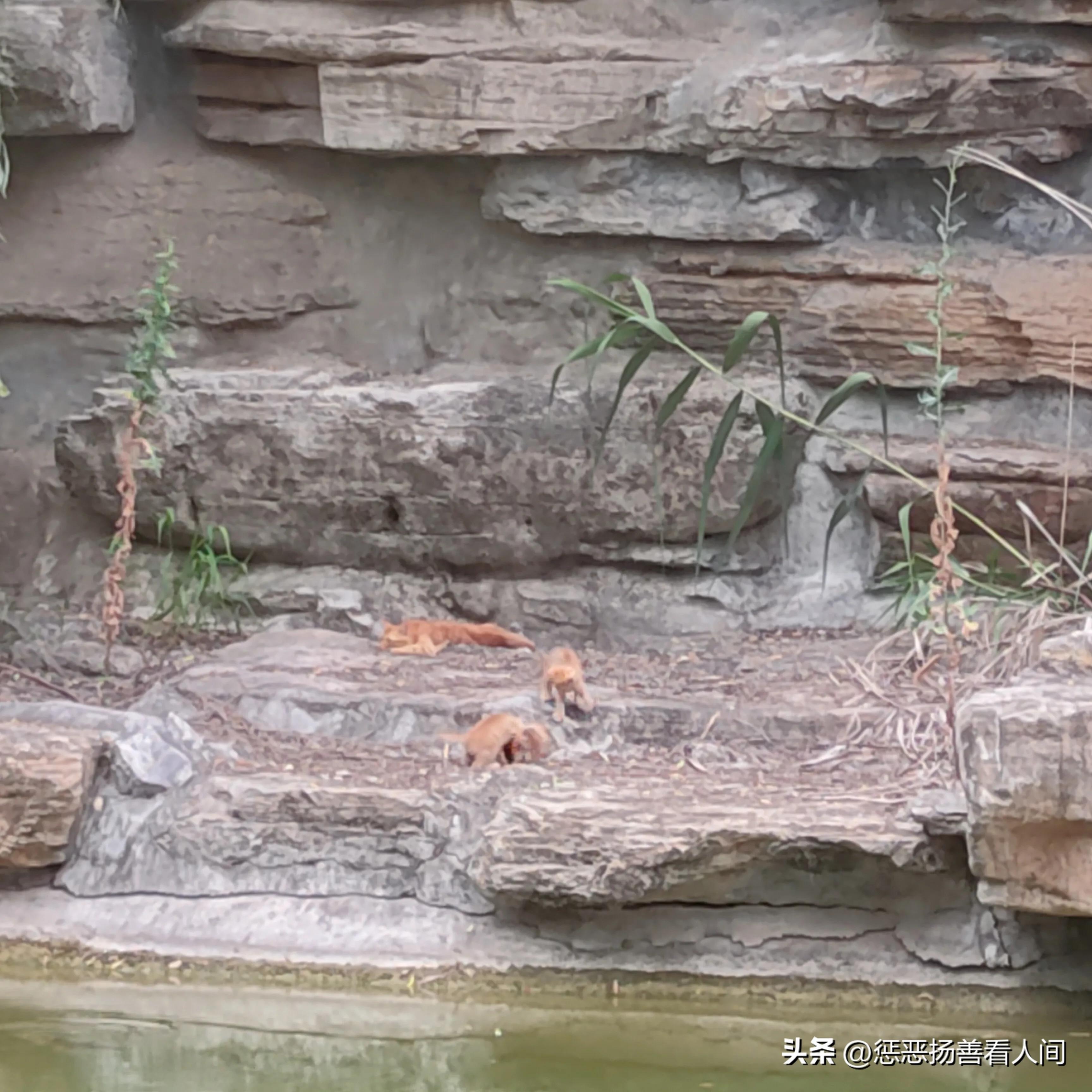 考勤的真实经历,考勤的尴尬事