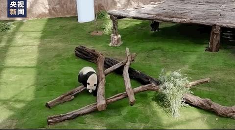 卡塔尔是一个怎样的国家英文,卡塔尔世界杯有哪些国家