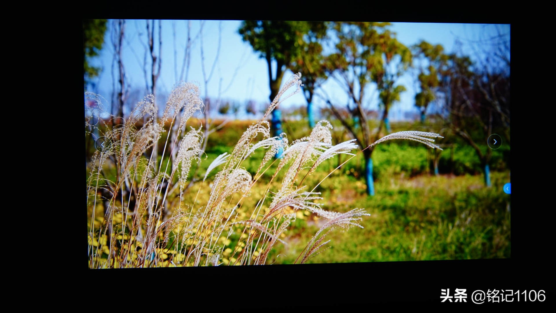 小明q1pro和小米投影仪对比,小明q1pro投影评测