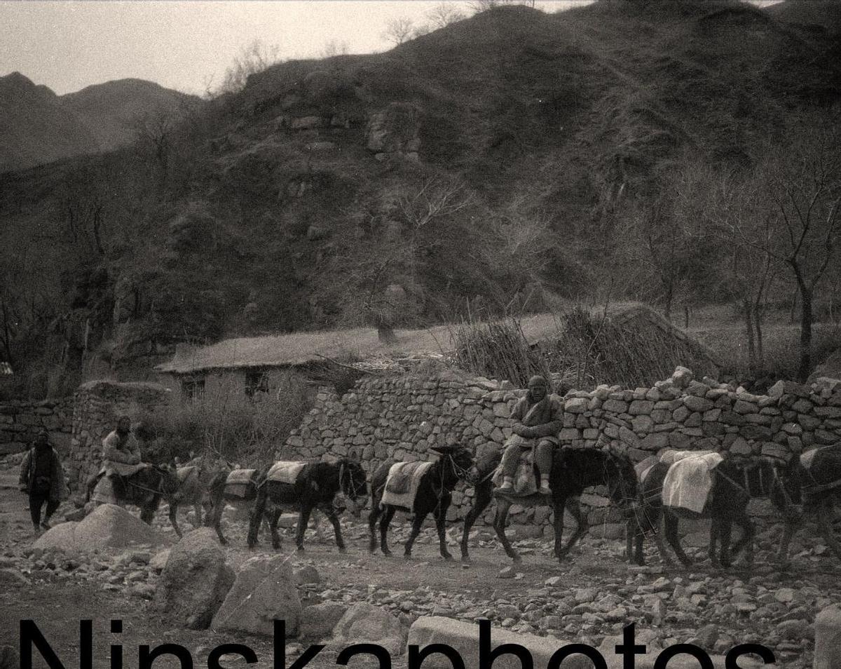 纳粹德国屠杀犹太女人,变态纳粹