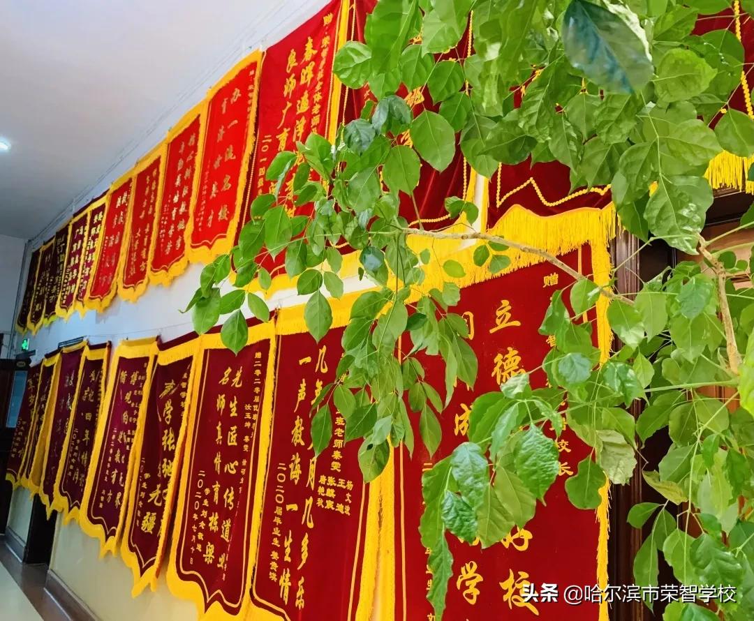 职”根荣智，不负芳华！——荣智学校2021年招聘公告