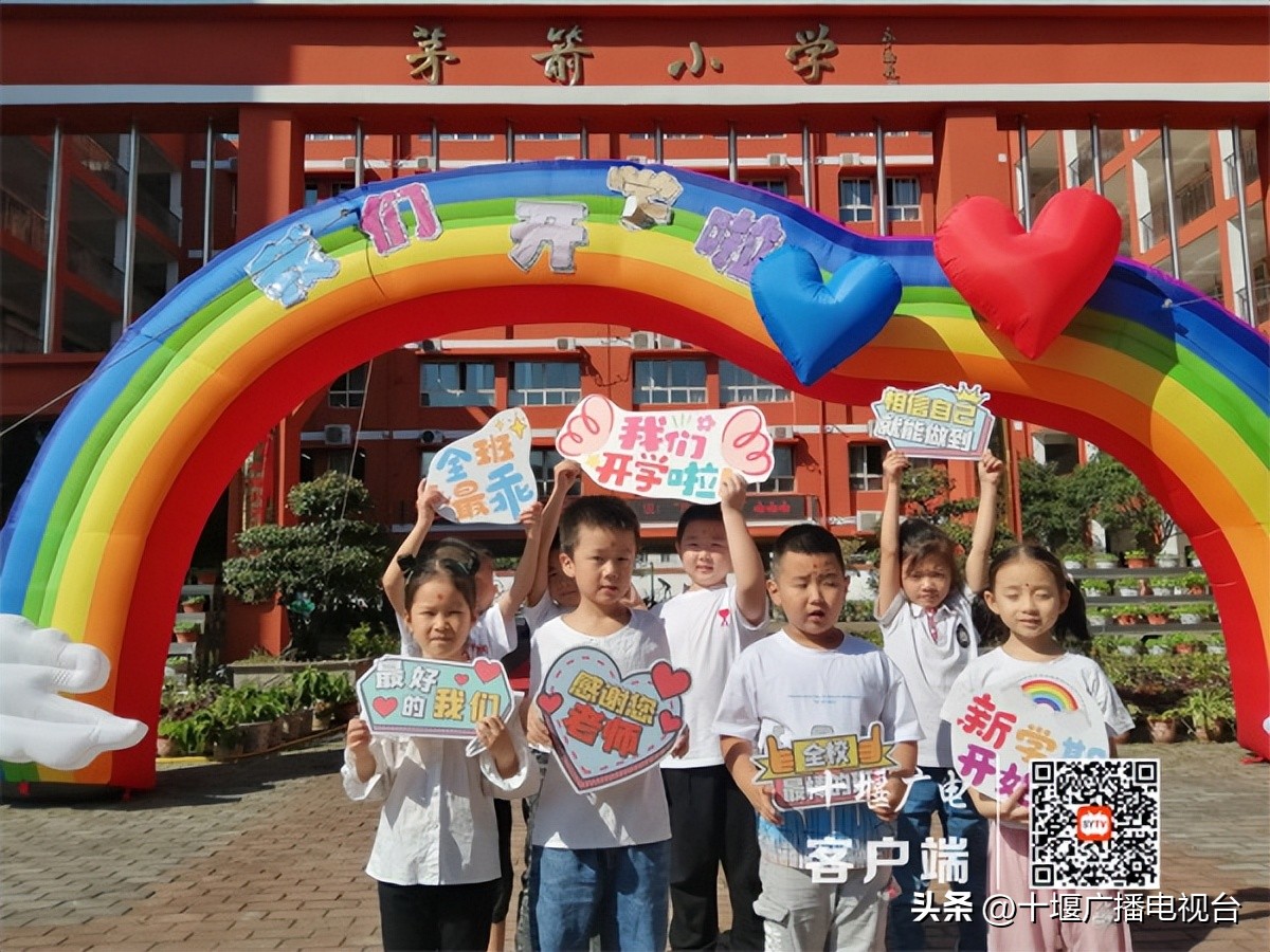 你好萌新是什么意思,你好萌新