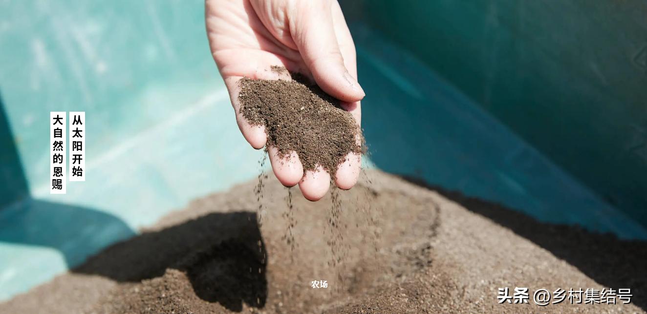 日本农业大县探寻乡村振兴新路,日本家庭农场农业模式