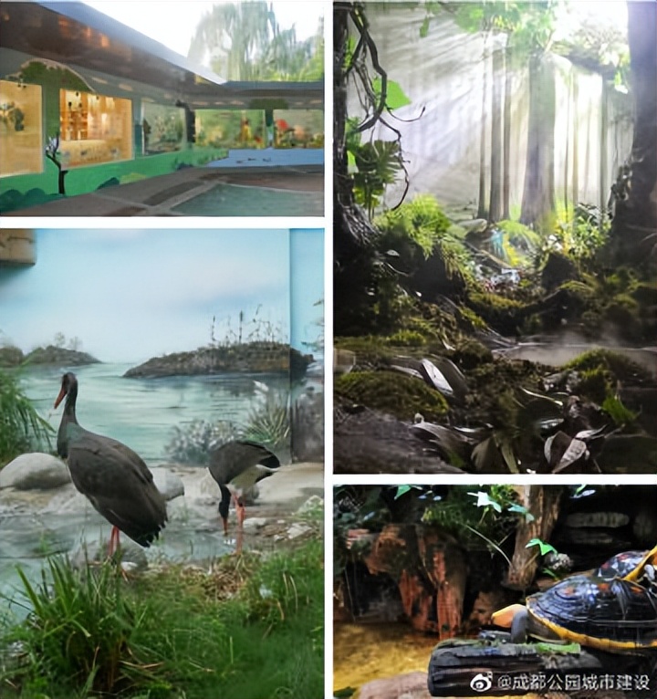 探秘动物的区域活动观察记录,成都动物园新动物