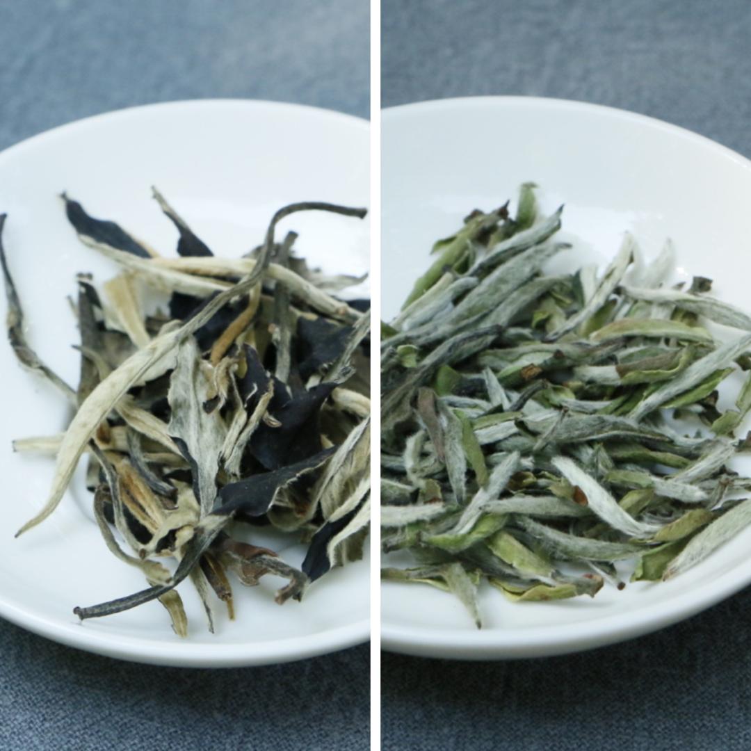 碧螺春泡的茶红色,碧螺春和鸭屎香