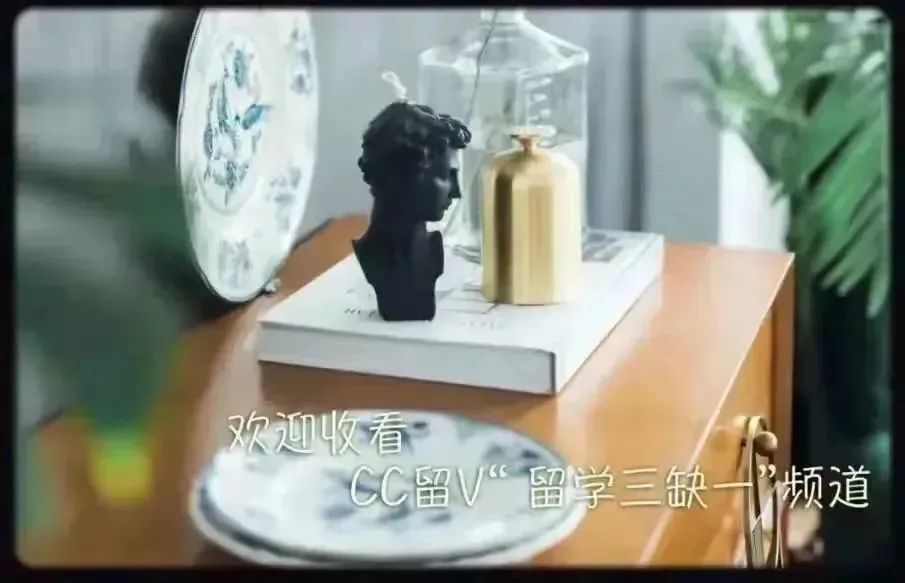 留学不再迷茫多所名校伸出橄榄枝,留学十大问题及解决方案