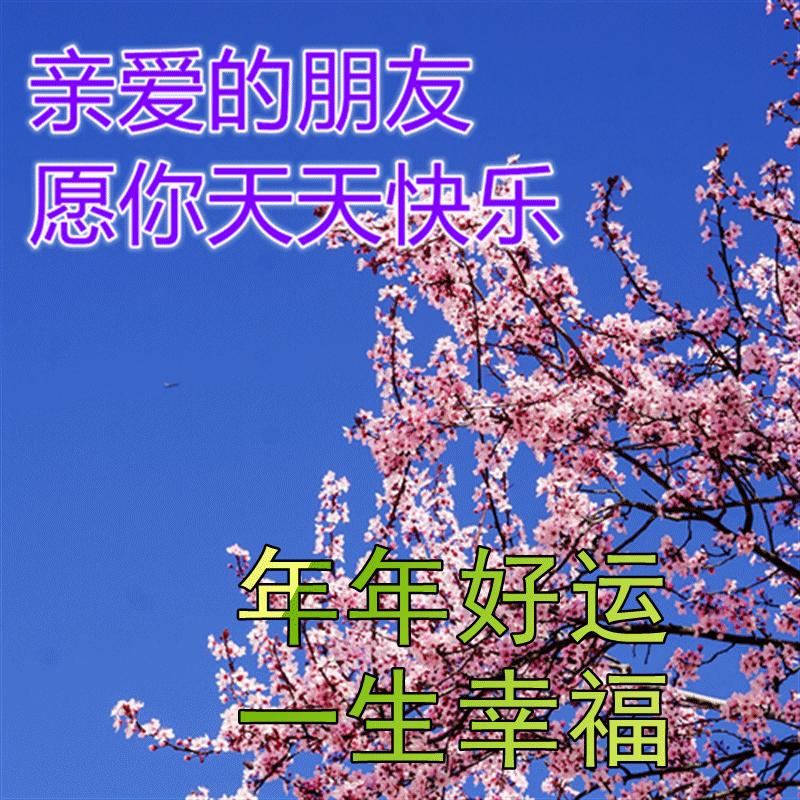 冬天早上祝福语最温馨的话图片,冬天早晨祝福语图片大全