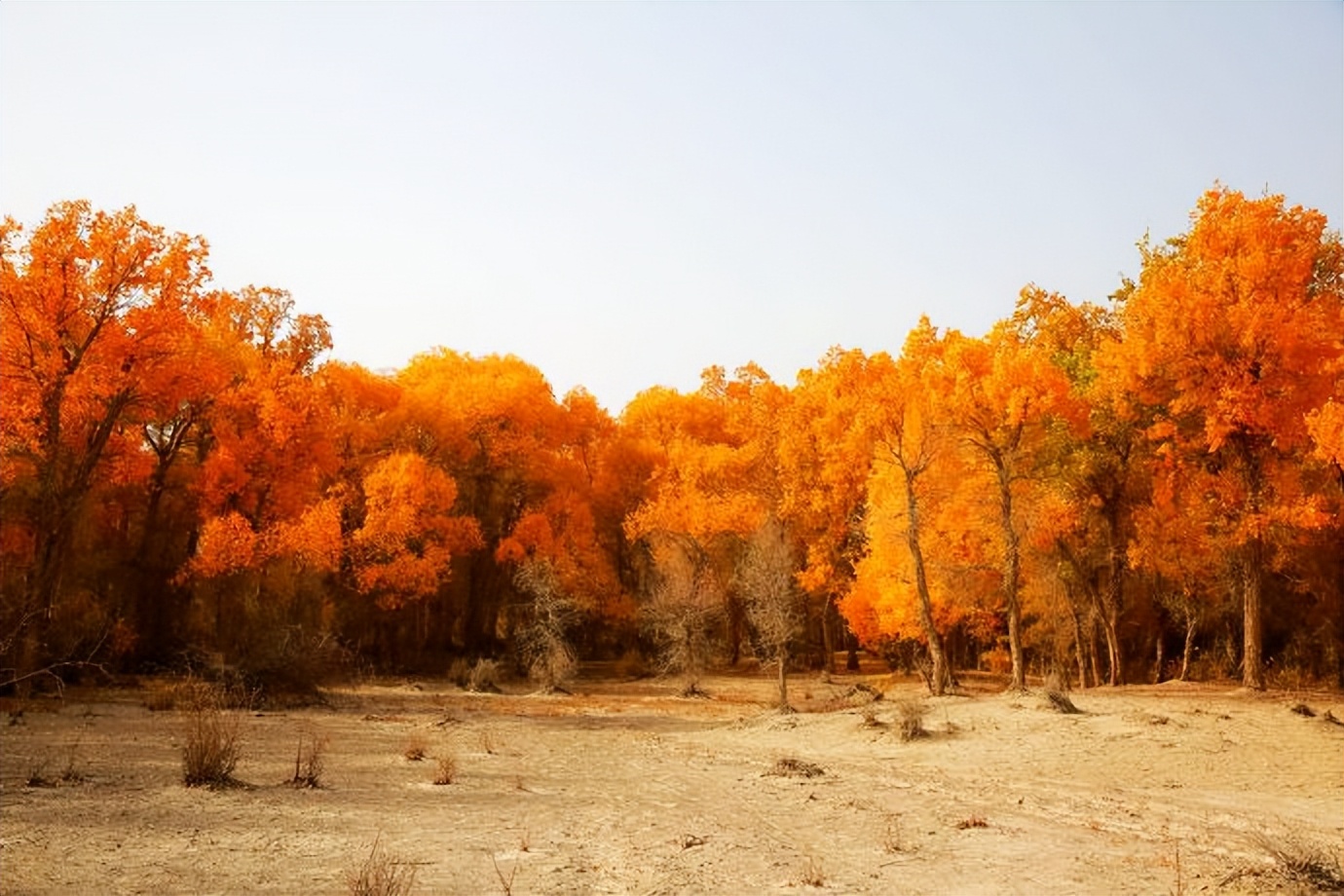 环游新疆15天,环游南疆8天攻略