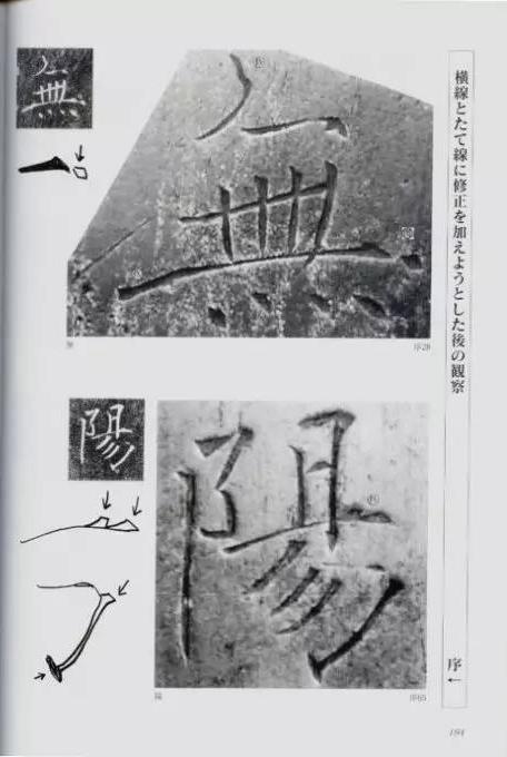 宸ョ瑪鐢绘潹鏅箟鐢诲唽,鏉滈箖鏉ㄦ櫘涔夊畬鏁寸増