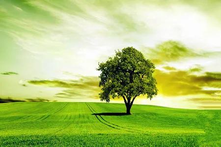 美军虐囚犯后果,美军虐囚行为