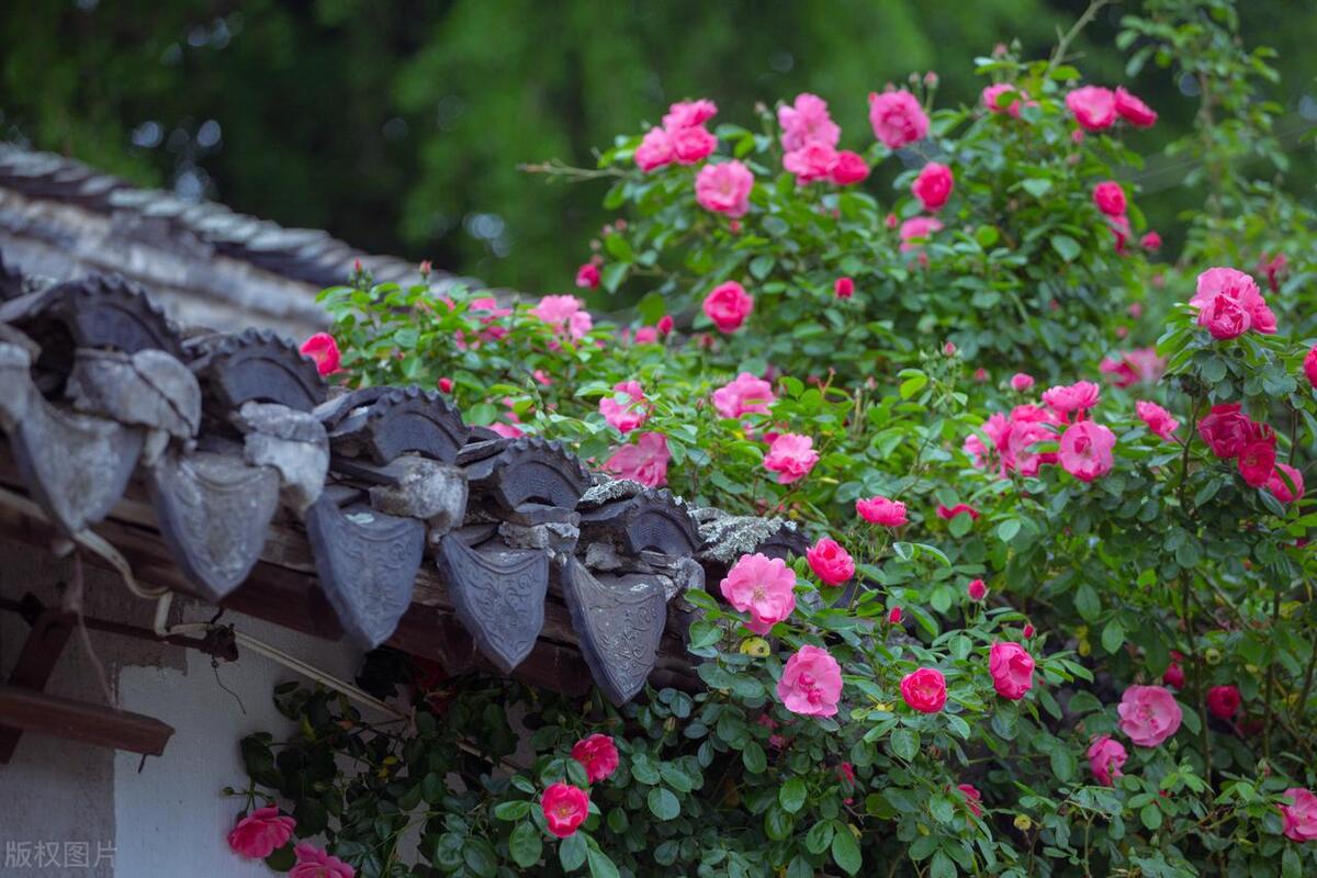 亲姐妹抱团养老4年后,亲姐妹抱团养老四年后却成为路人